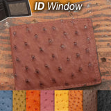 Ostrich ID Wallet