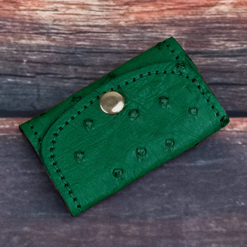 Ostrich Key Case