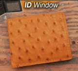 Ostrich Orange ID Wallet