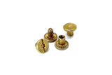 Set of Chicago Screws (2 Pack) - Solid Brass
